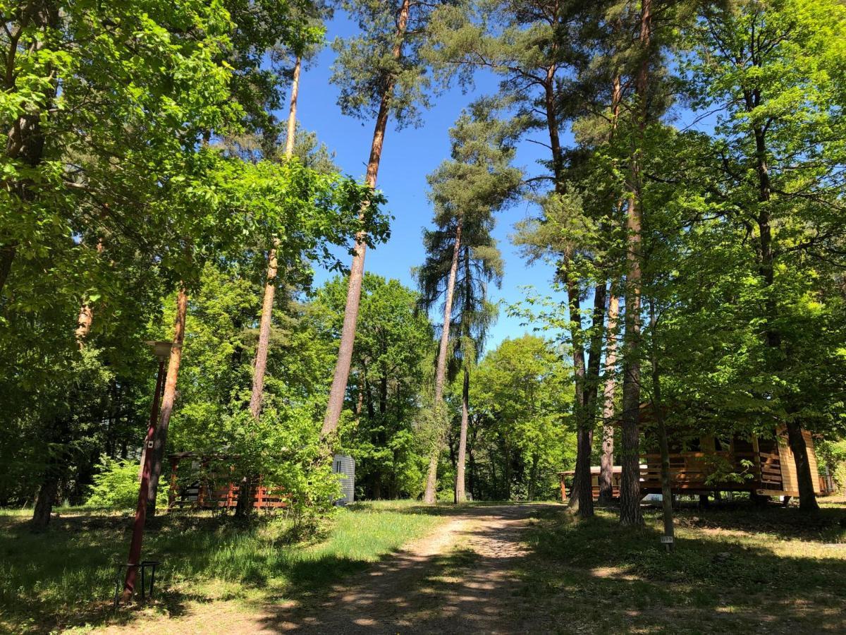 Camping Osenbach Exteriör bild